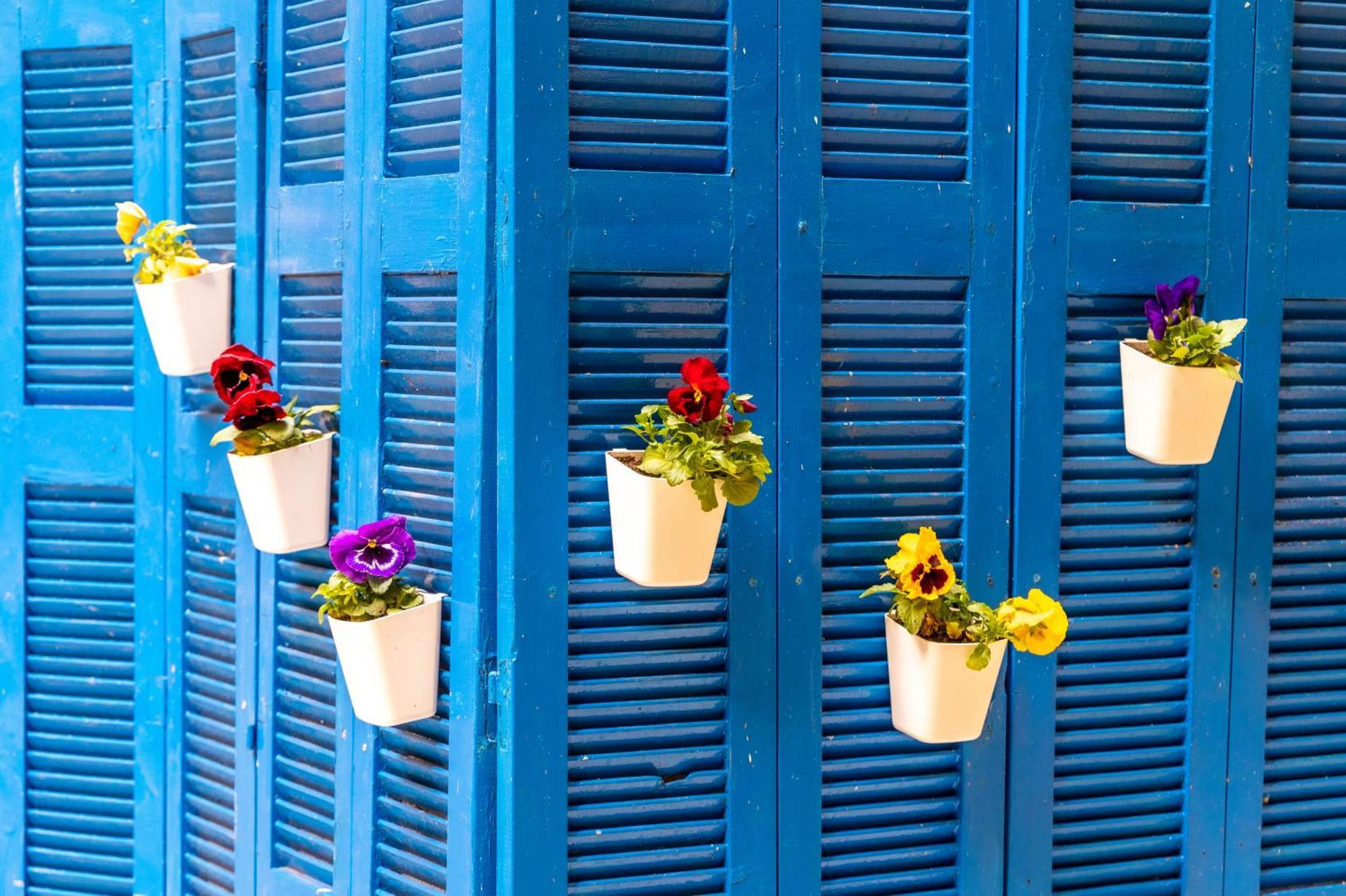 Oasis In The Centre Apartment Atena Exterior foto